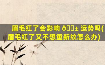 眉毛红了会影响 🐱 运势吗(眉毛红了又不想重新纹怎么办)
